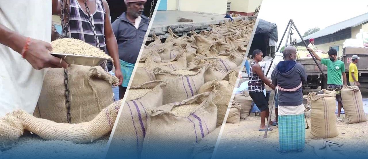 धान विक्रीमै किसानलाई झमेला, खरिदको कोटा सक्कियो