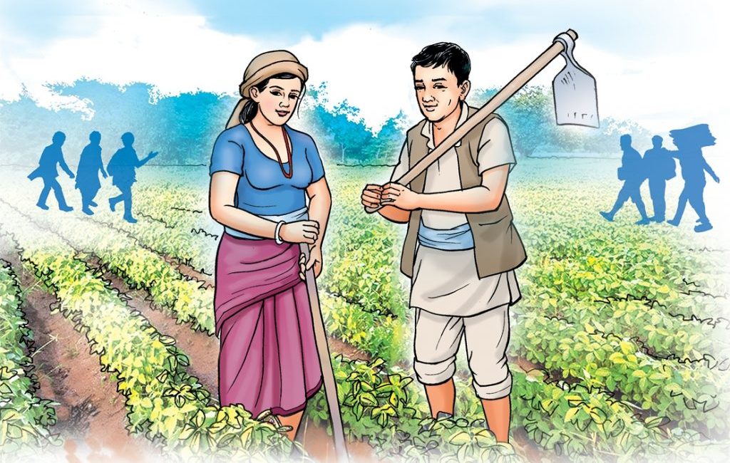 कृषिमा परनिर्भरता बढ्नेक्रम उच्च