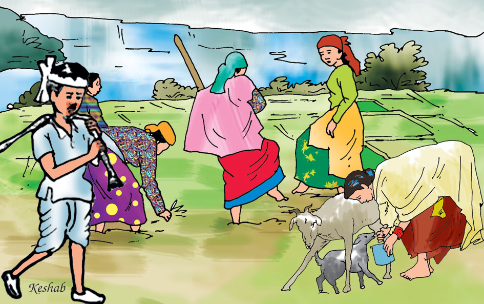 बाली तथा पशुधन बिमाबापत एक अर्ब ६० करोड भुक्तानी